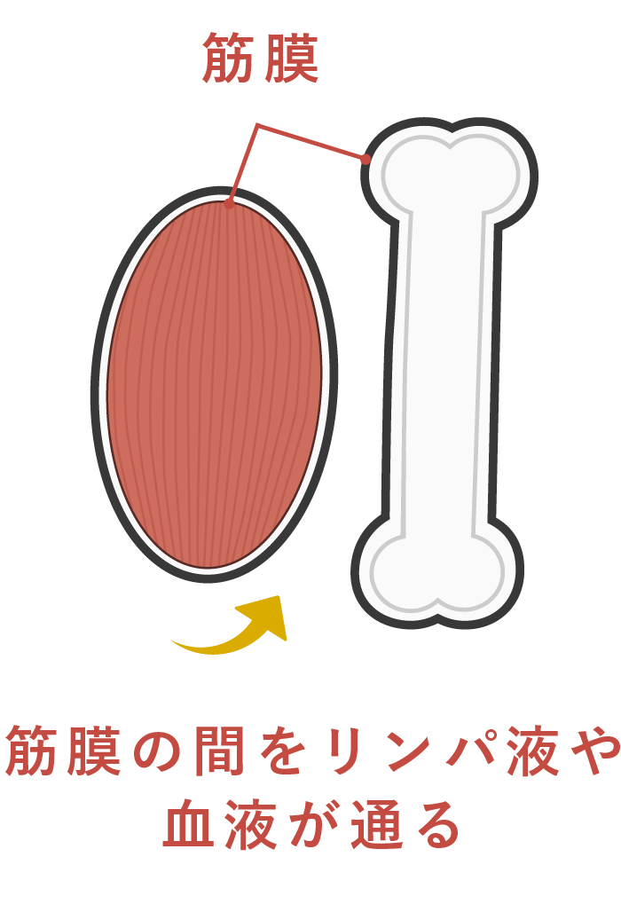 サロンドアヤ 筋膜セラピー正常