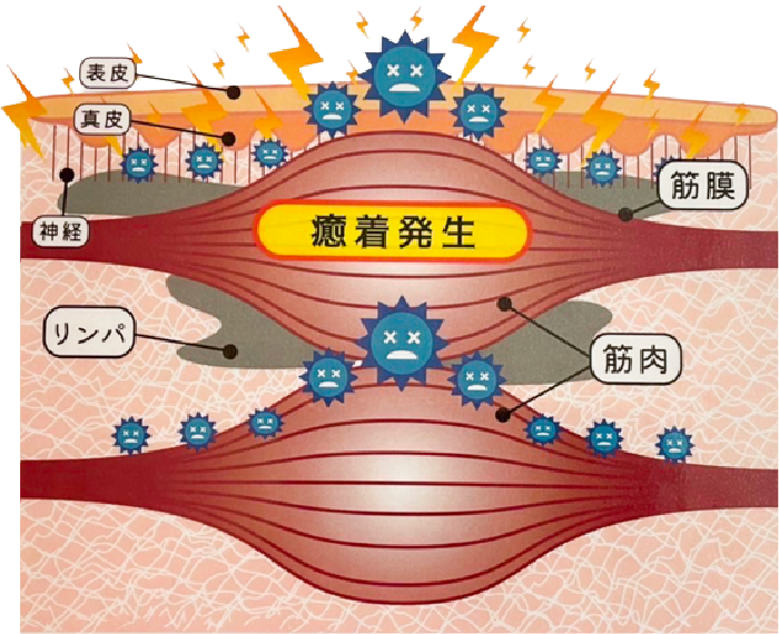 サロンドアヤ 筋膜セラピー施術後